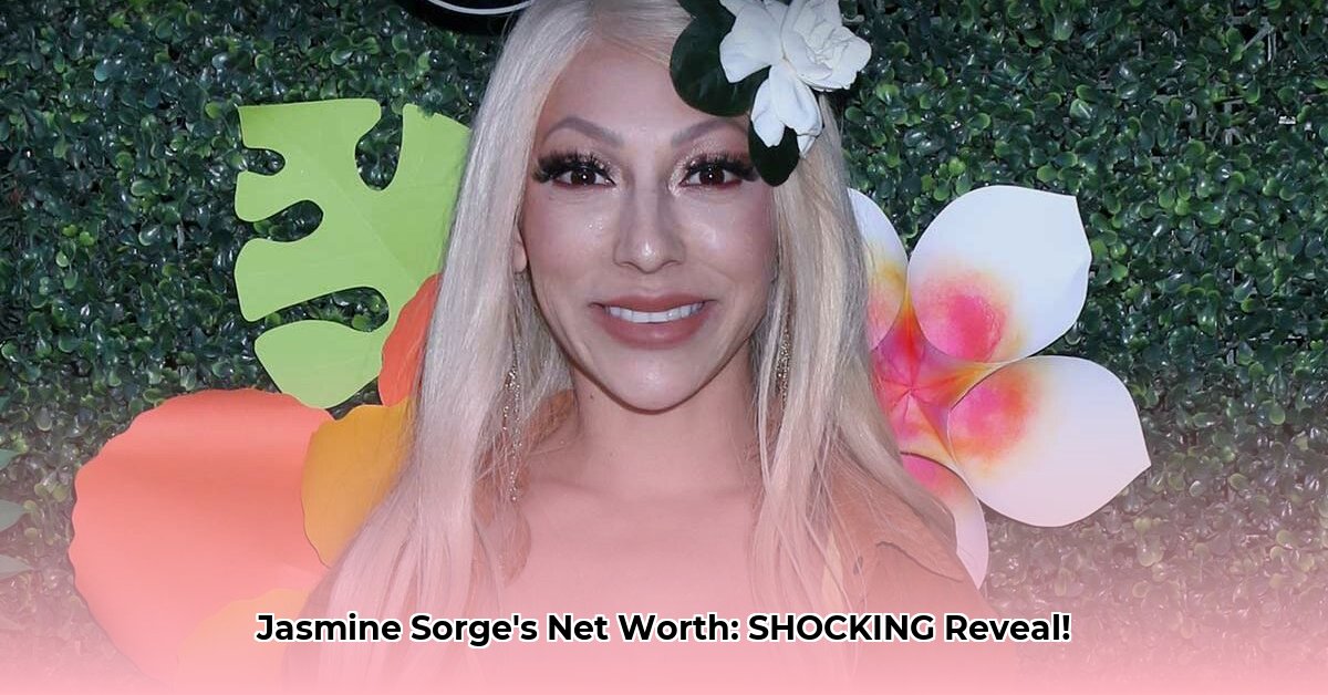 jasmine-arteaga-sorge-net-worth